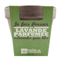 SET - Posuda za uzgoj Lavande