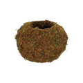 Kokedama kugla M