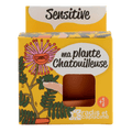 SET - Posuda za uzgoj Mimoze