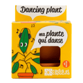 SET - Posuda za uzgoj Plesne biljke