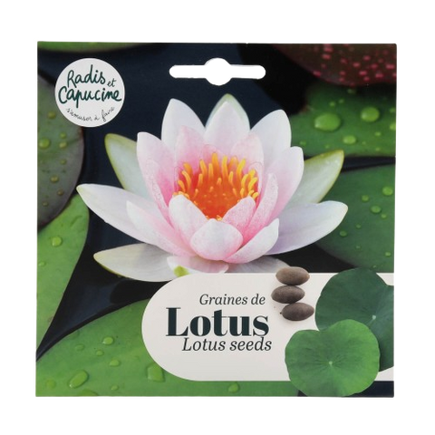 Sjemenke Lotus