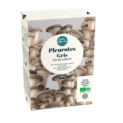 SET - Uzgoj gljiva, sive bukovače