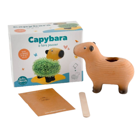 Kapibara za uzgoj, chia sjemenke, set za djecu