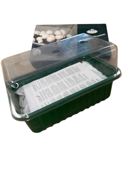 SET - Uzgoj šampinjona u posudi